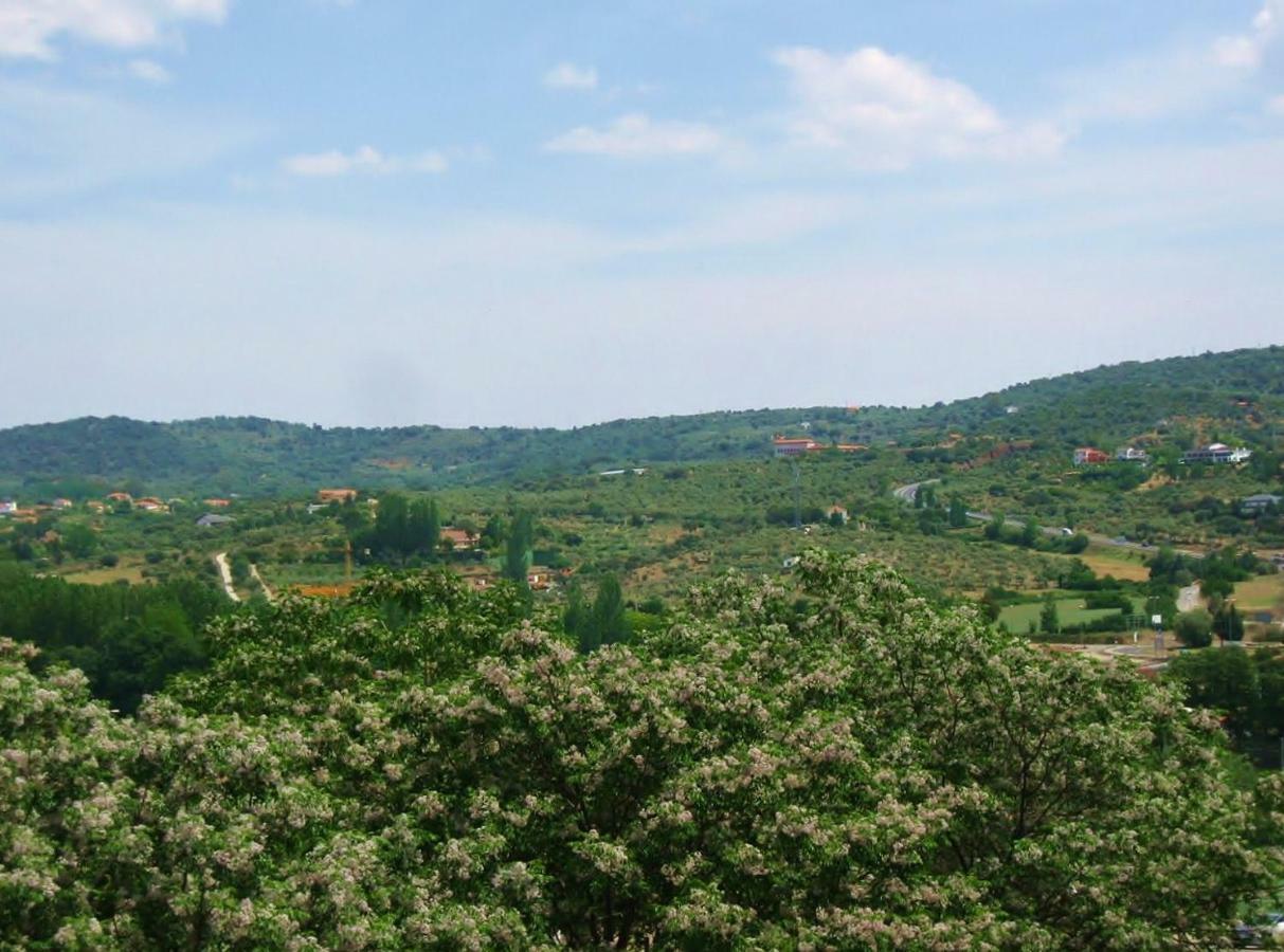 Valle Del Jerte * Plasencia